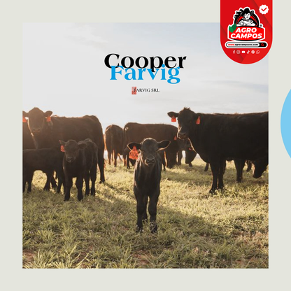 Cooper Farvig