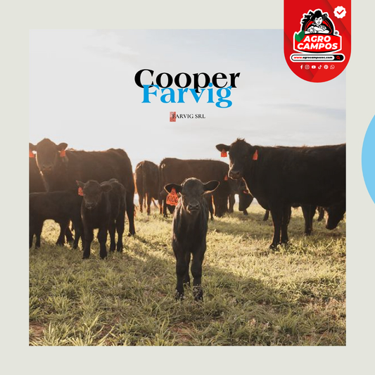 Cooper Farvig