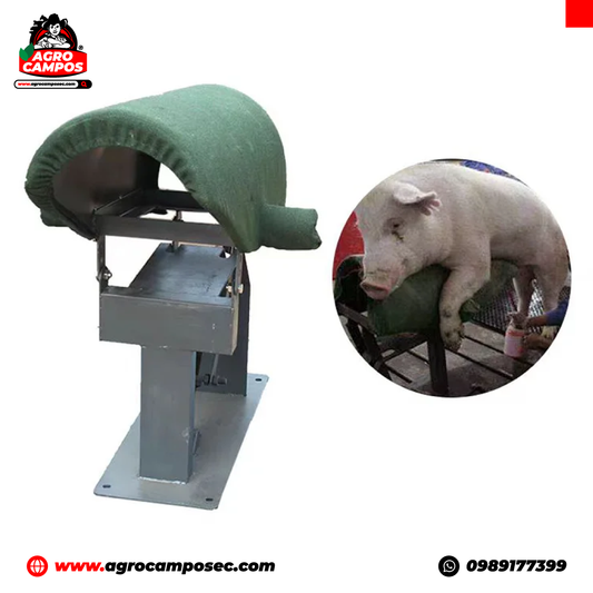 Caballete para Extracción Recolección de Semen Porcino