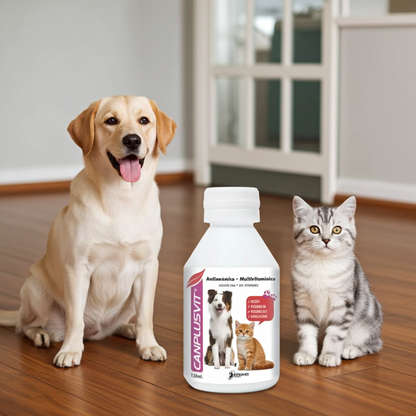 Canplusvit Oral Estimulante Apetito Suplemento Nutricional Mascotas Ecuador - Agro Campos® Online Store
