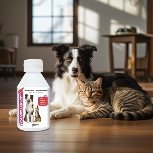 Canplusvit Oral Hierro Vitaminas Estimulante Apetito Caninos Felinos Ecuador - Agro Campos® Online Store

