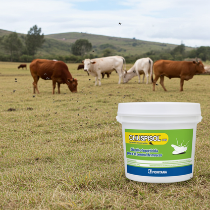 Chuspisol Insecticida Ambiental Produccion Animal Bioseguridad Pecuaria Ecuador - Agro Campos® Online Store
