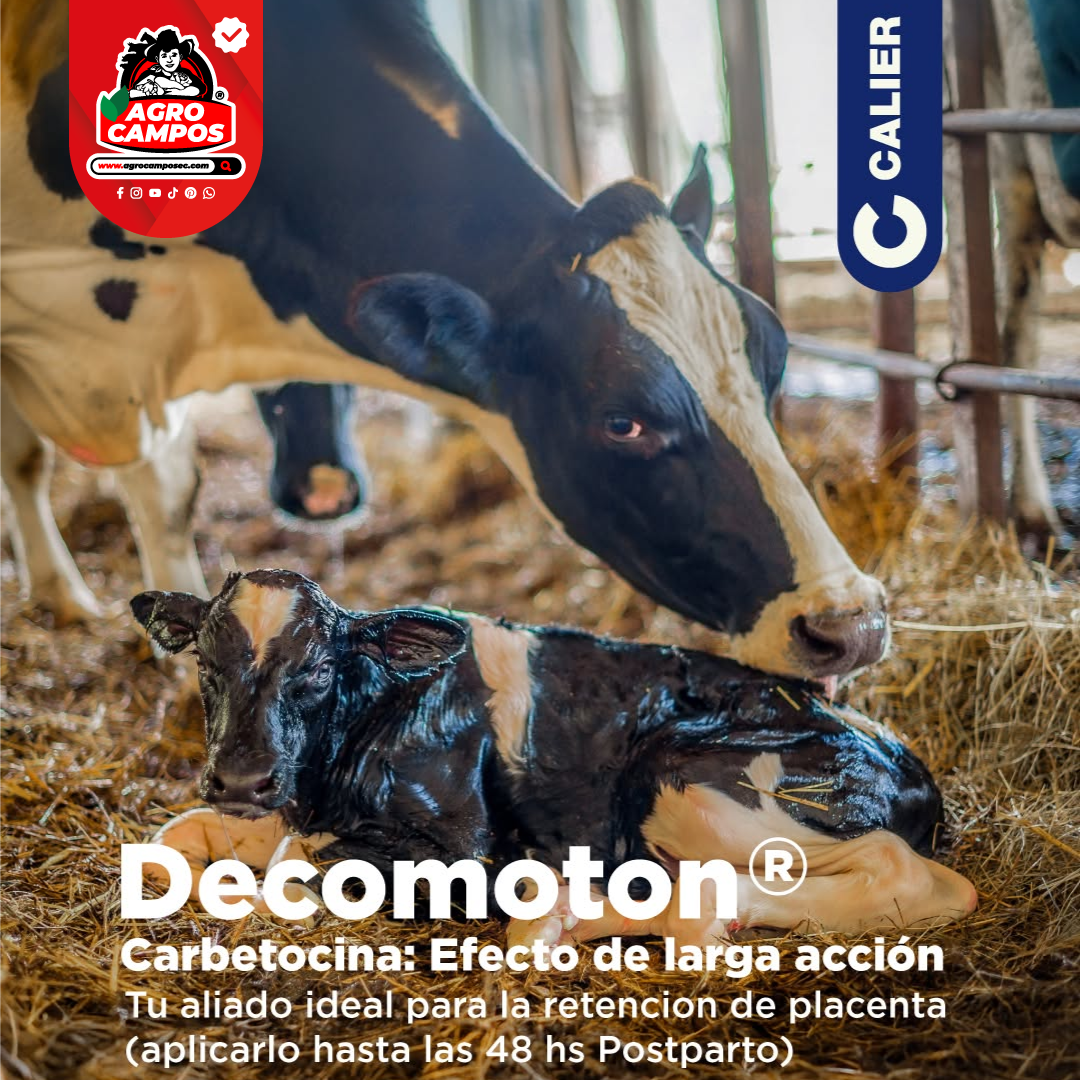 Decomoton