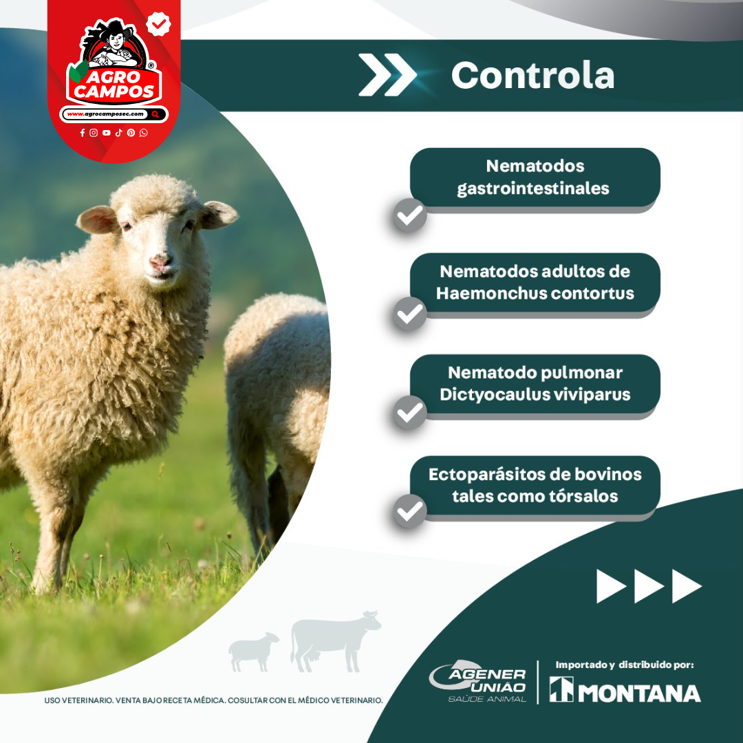 Dorax 1%