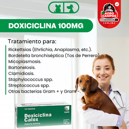 Doxiciclina Calox