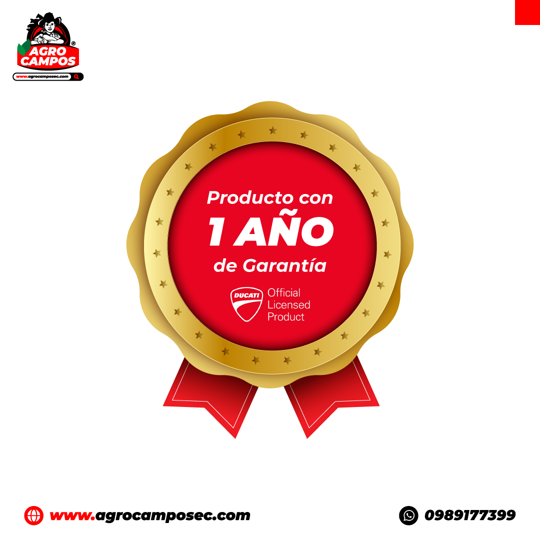 Electrobomba Periférica Ducati DPP 6000S