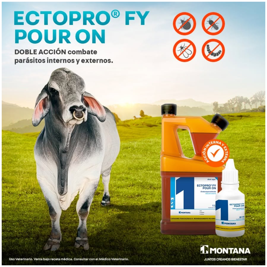 Ectopro Fy Pour On