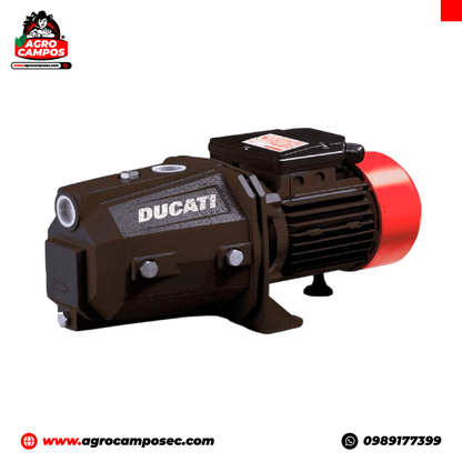 Electrobomba Autoaspirante Jet Ducati DEP 100H