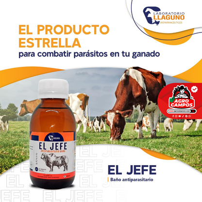 El Jefe Baño