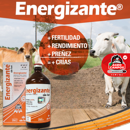 Energizante Ale-Bet