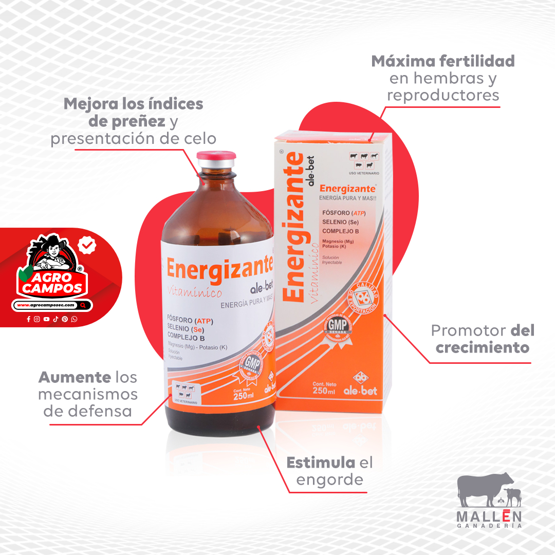 Energizante Ale-Bet