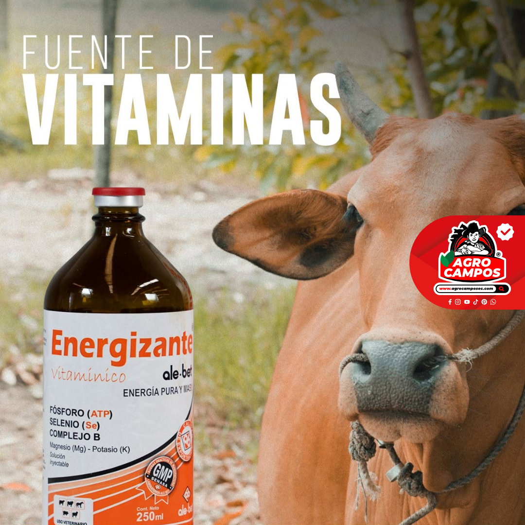 Energizante Ale-Bet