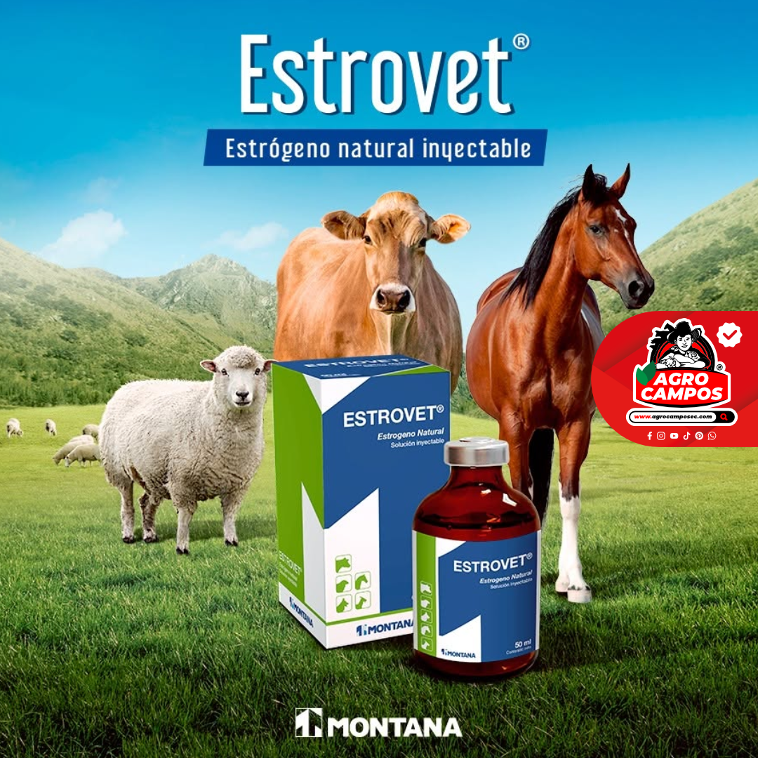 Estrovet