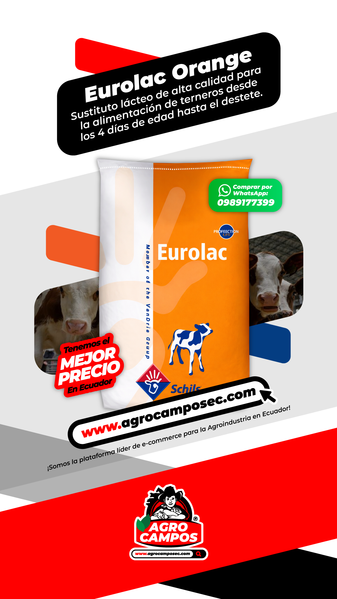Leche Eurolac Orange