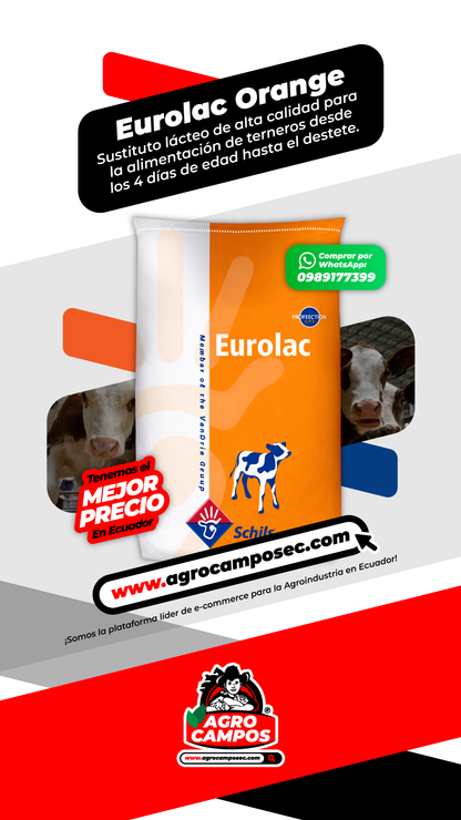 Leche Eurolac Orange