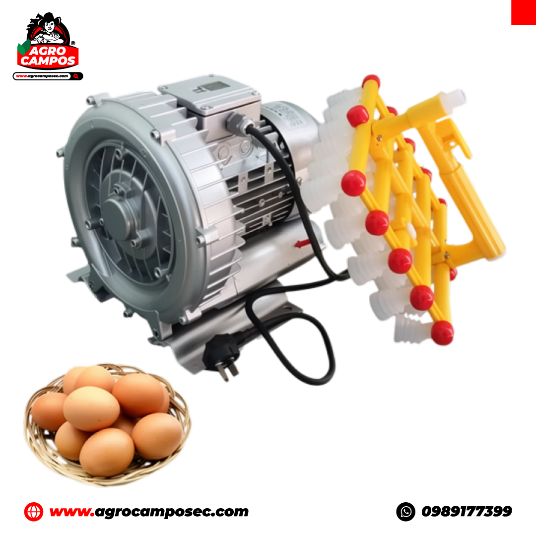 Elevador de Huevos al Vacío 110 V 19 kPa