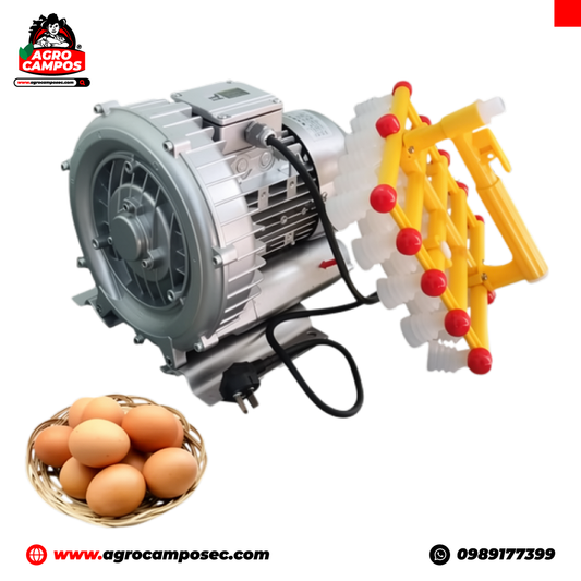 Elevador de Huevos al Vacío 110 V 19 kPa