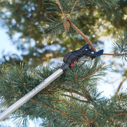 Podadora de Pértiga Extensible Felco 290 Calidad Suiza