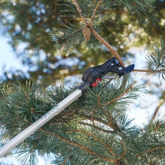 Podadora de Pértiga Extensible Felco 290 Calidad Suiza
