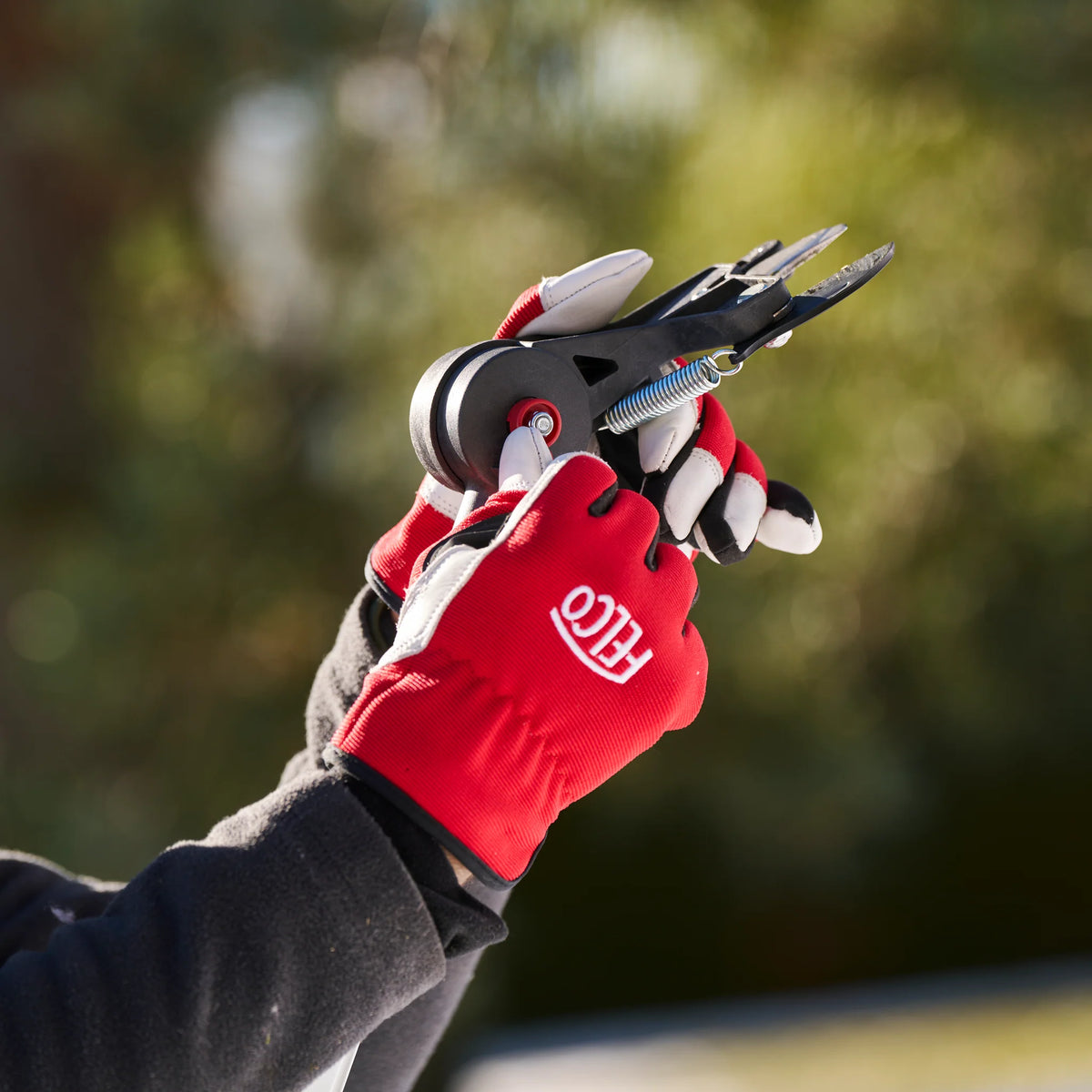 Podadora de Pértiga Extensible Felco 290 Calidad Suiza