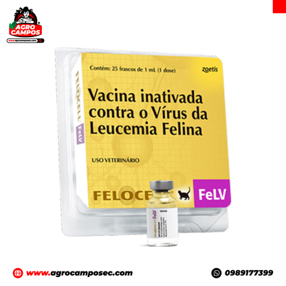 Vacuna Felocell Felv (Leucemia Felina)