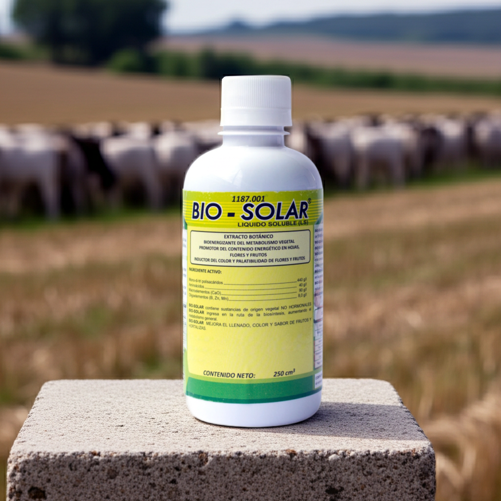 Bio Solar