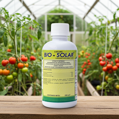 Bio Solar