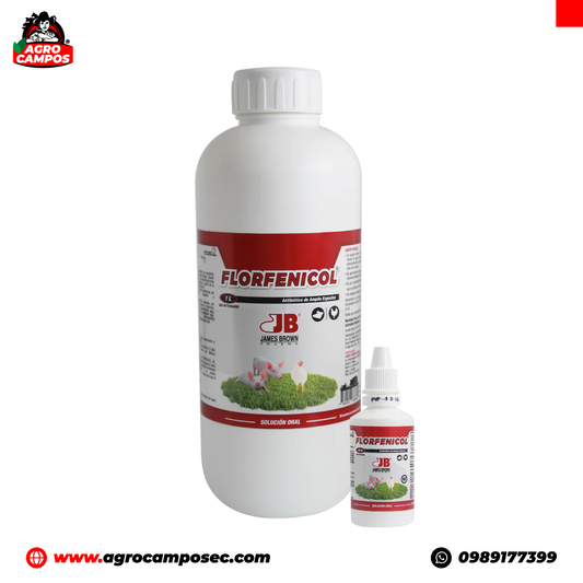 Florfenicol Oral