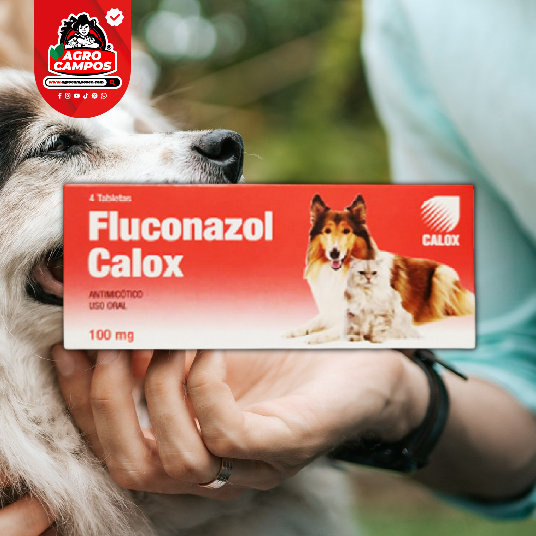 Fluconazol Calox