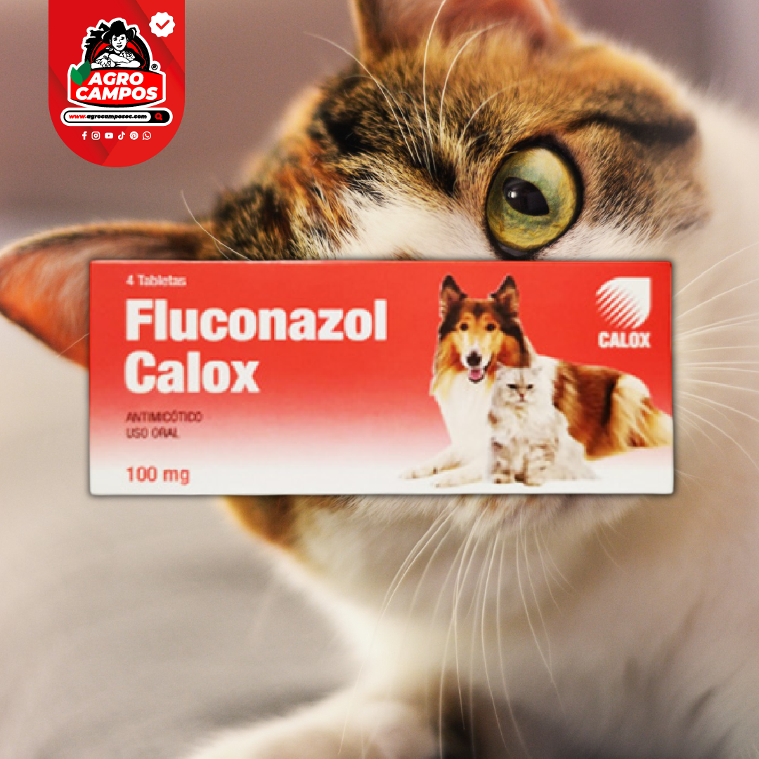 Fluconazol Calox