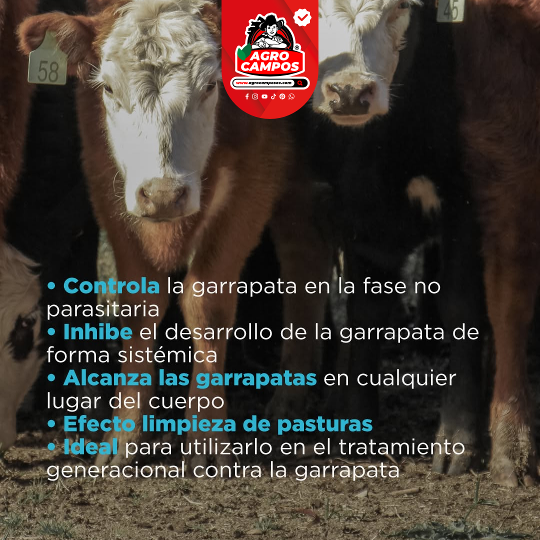 Forcer Pour On Garrapaticida