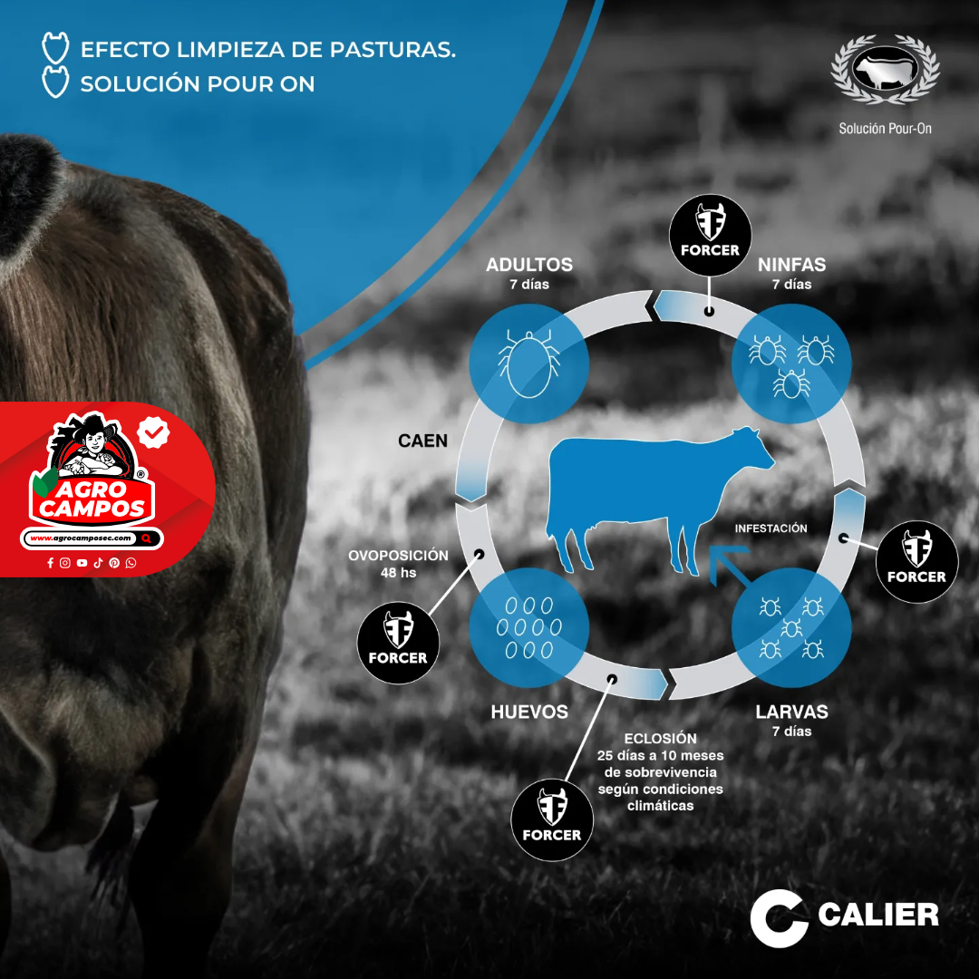 Forcer Pour On Garrapaticida