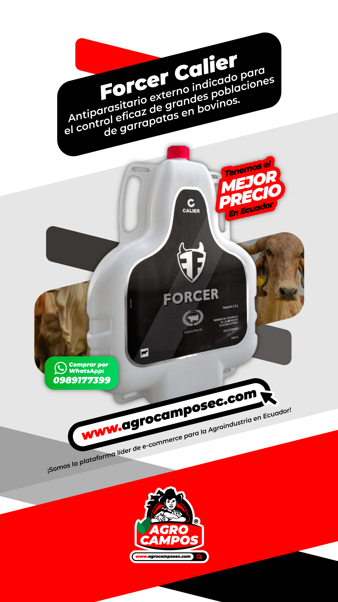 Forcer
