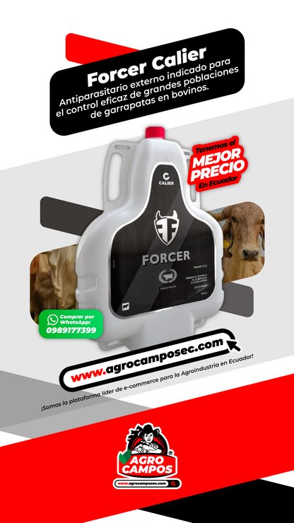 Forcer