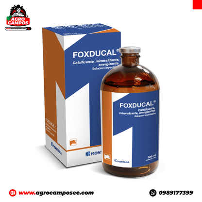 Foxducal