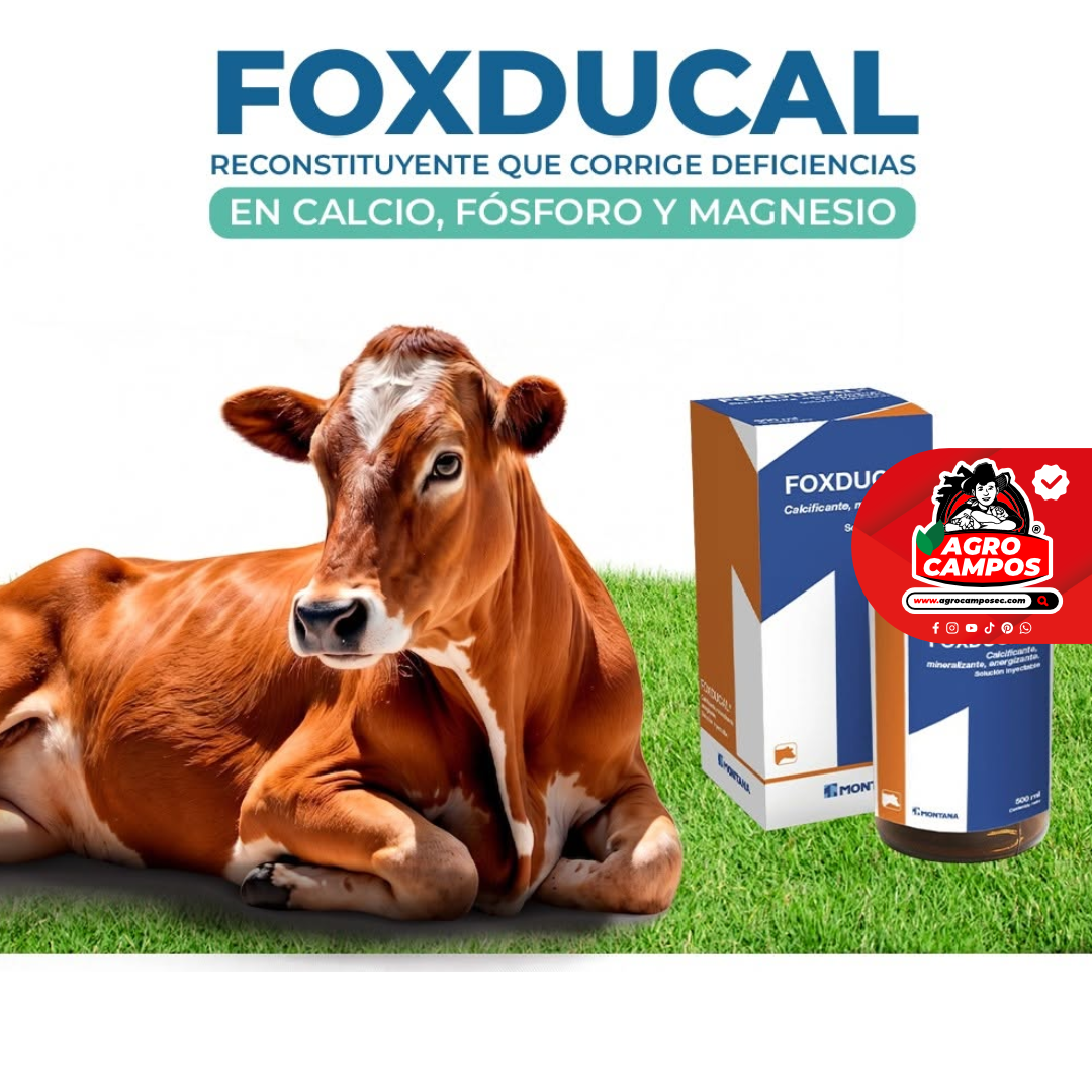 Foxducal
