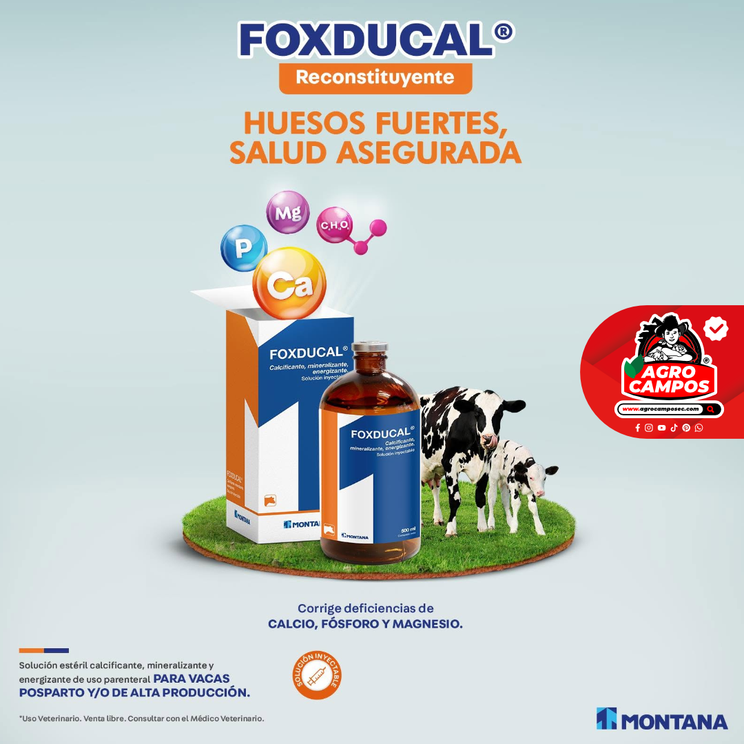 Foxducal