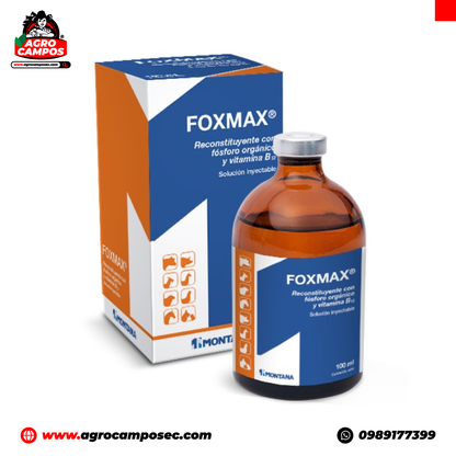 Foxmax