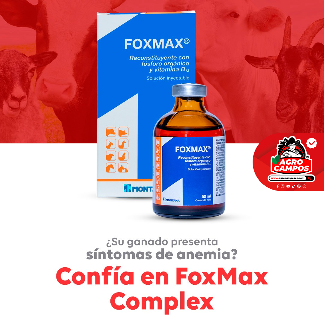 Foxmax