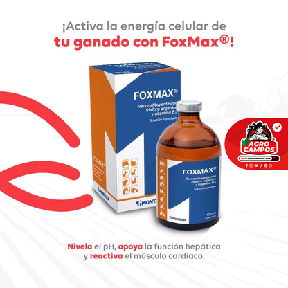 Foxmax