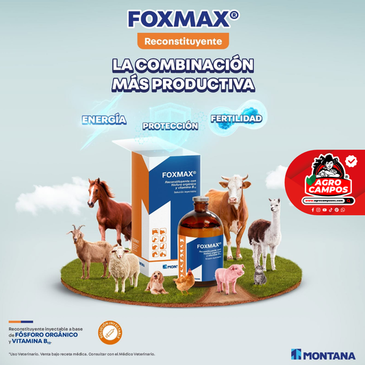 Foxmax