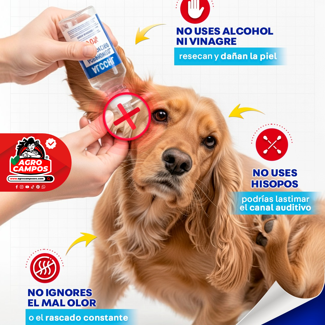 Fripets Ótico Limpiador
