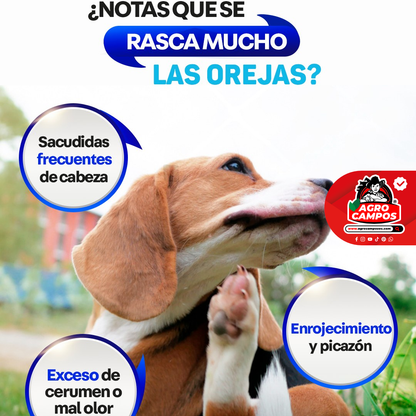 Fripets Ótico Jeringa