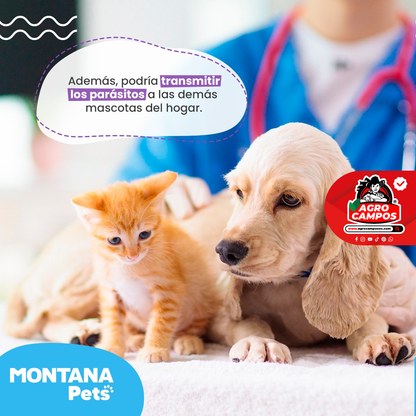 Fripets Puppy Jeringa