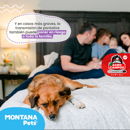 Fripets Puppy Jeringa
