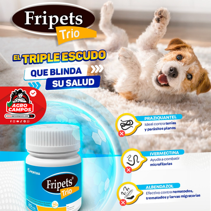 Fripets Trio