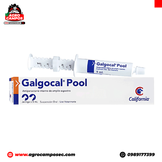 Galgocal Pool