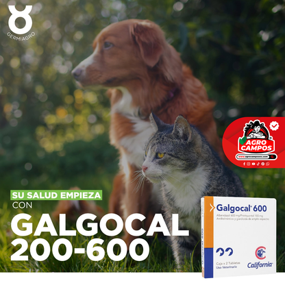 Galgocal 600