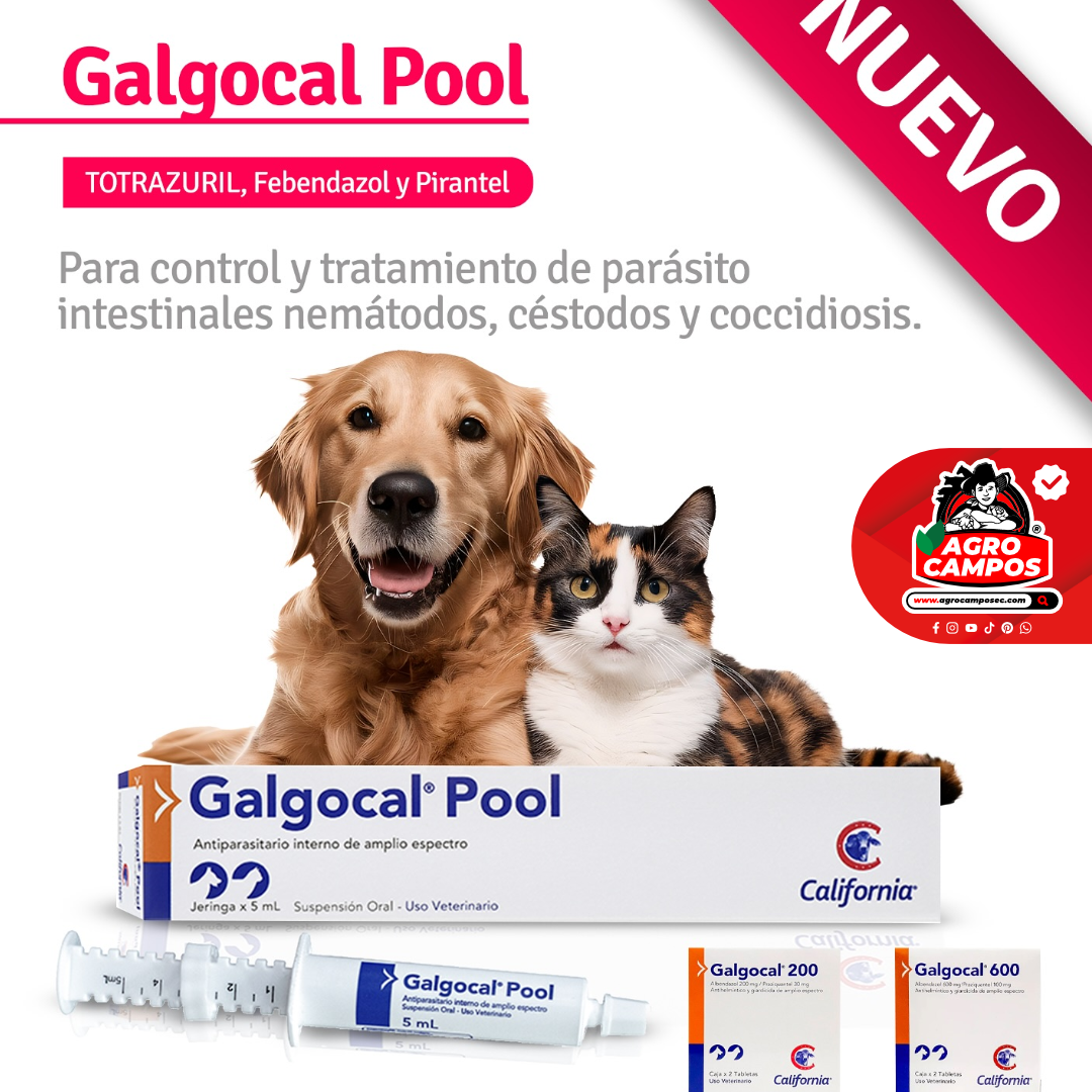 Galgocal Pool