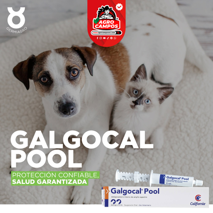 Galgocal Pool